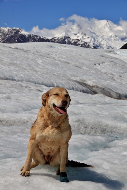 Out on the glacier