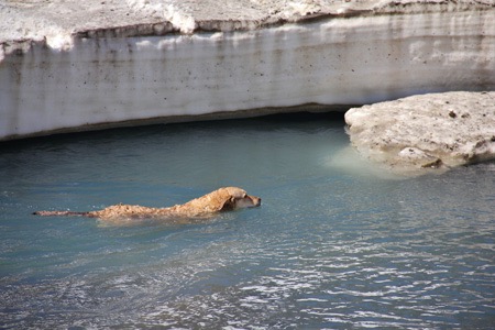 Having that swim