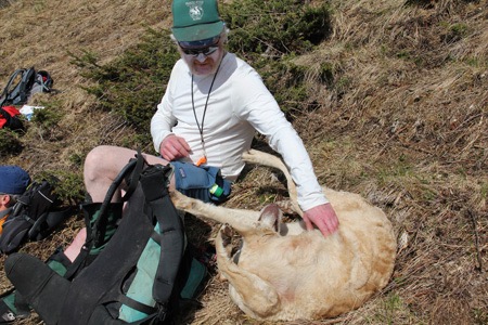 Nothing like a good belly scratch during a break from hiking