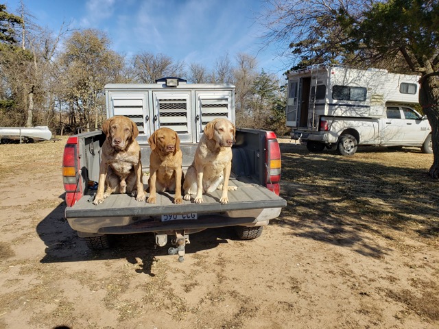 Kansas 2019: Jago, Ivishak, Nizina  father, granddaughter, daughter